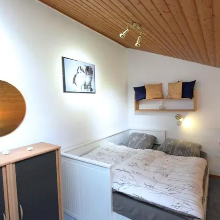 Fewo Am Berg Apartment Sankt Andreasberg